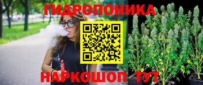 jwh Будённовск