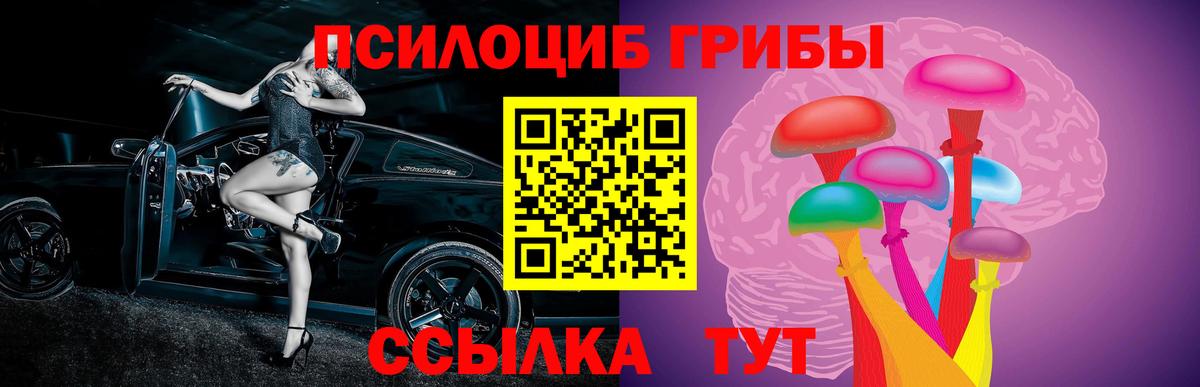Галлюциногенные грибы GOLDEN TEACHER  Псилоцибиновые грибы мухоморы  Сланцы  где купить наркоту  Вход с VPN 